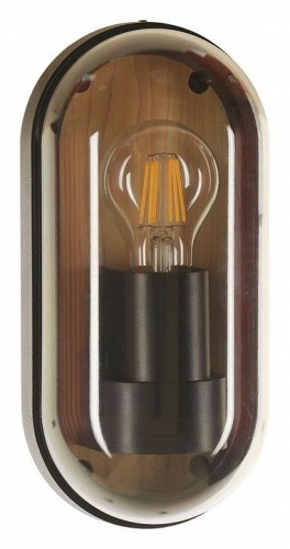 Настенный светильник уличный Arte Lamp Marfik A2481AL-1BR