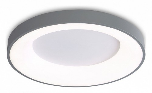 Потолочный светодиодный светильник Ambrella light Orbital Design FZ1402