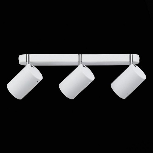 Настенно-потолочный светильник ST Luce Fanale SL597.501.03