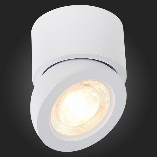 Светодиодный спот ST Luce ST654.532.10 Светодиодный спот ST Luce ST654.532.10