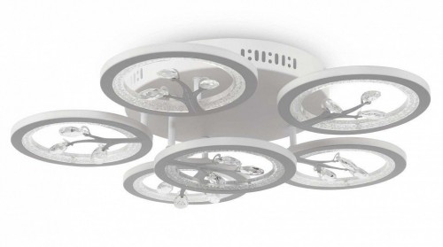 Потолочная люстра Freya Bodge FR10017CL-L92W