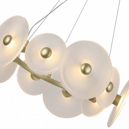 Подвесная светодиодная люстра F-Promo Arctium 4605-8P Подвесная светодиодная люстра F-Promo Arctium 4605-8P