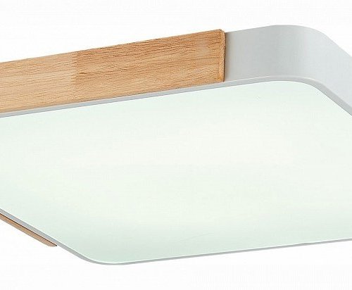 Потолочный светильник Evoluce Festa SLE201252-01