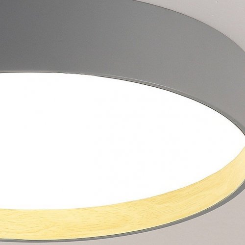 Потолочный светильник ImperiumLoft Netty01