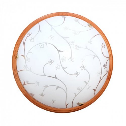 Потолочный светильник Zoldi 3107