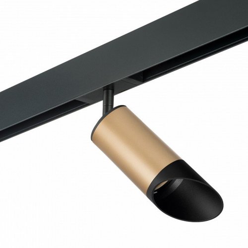 Светильник на штанге Lightstar Rullo PRO44037 Светильник на штанге Lightstar Rullo PRO44037