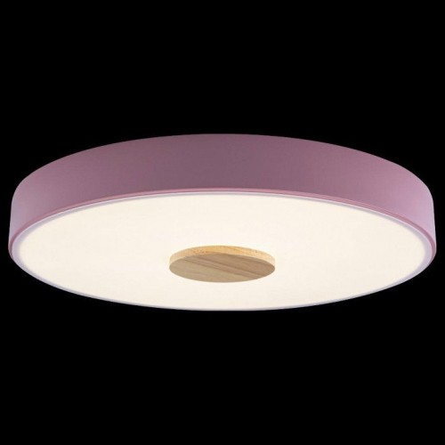 Потолочный светильник Loft IT Axel 10003/24 Pink