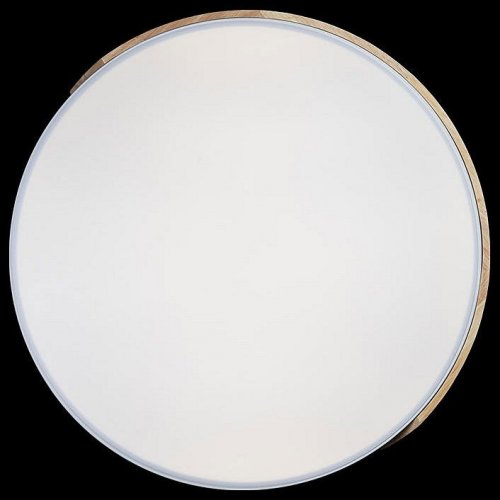 Потолочный светильник Loft IT Axel 10004/36 White