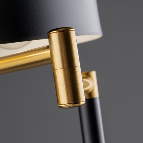 Интерьерная настольная лампа Freya Izza FR4008TL-02BBS