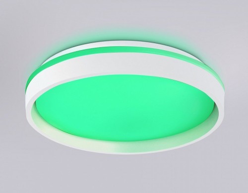 Накладной светильник Ambrella Light FZ FZ601