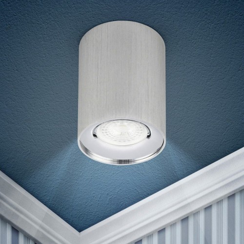 Потолочный светильник ЭРА OL1 GU10 SL/CH