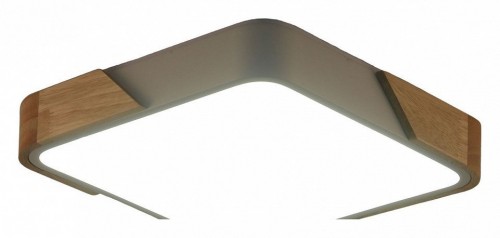 Потолочный светильник Zortes Alberro ZRS.01285.36