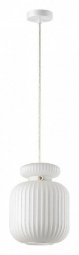 Подвесной светильник Odeon Light Jugi 5042/1C