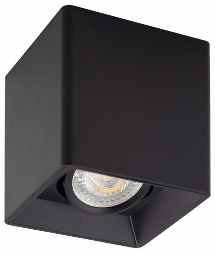 Потолочный светильник Denkirs DK3030-BK