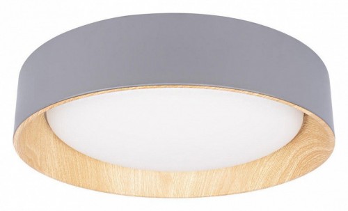 Потолочный светильник Loft IT Coin 10202 Grey