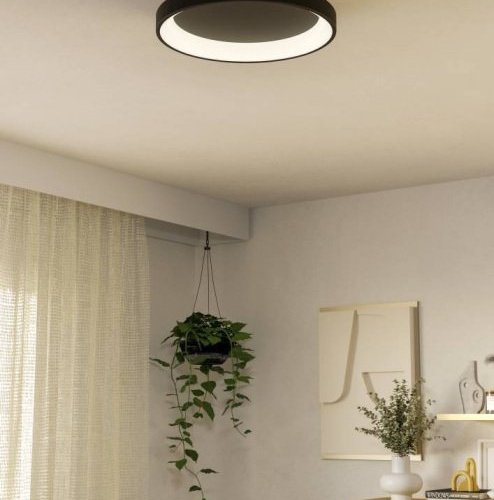 Потолочный светильник Loretello 901251 Потолочный светильник Loretello 901251