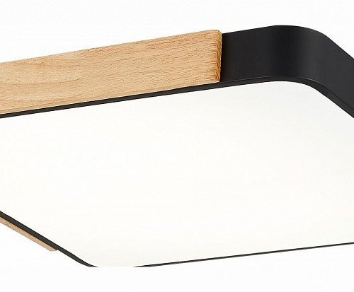 Потолочный светильник Evoluce Festa SLE201242-01