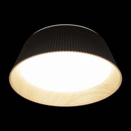 Потолочный светильник Loft IT Evans 10224 Black