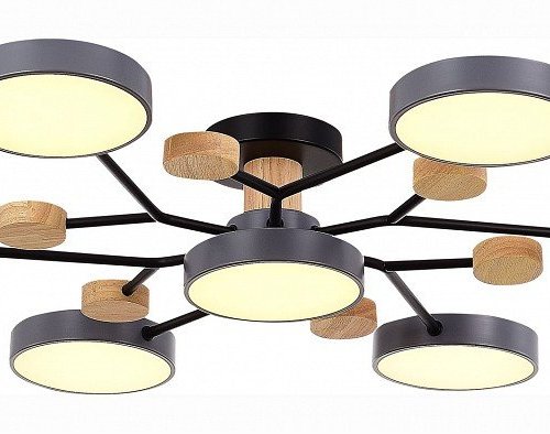 Потолочная люстра EVOLUCE Faema SLE6006-702-07 Потолочная люстра EVOLUCE Faema SLE6006-702-07