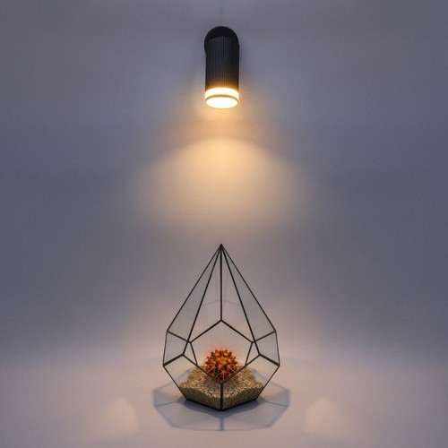 Спот Wolta CORALLO WSL-GU10 WSL-GU10/04BL