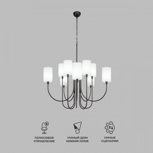 Подвесная люстра Eurosvet Abbey 60164/10 черный Smart