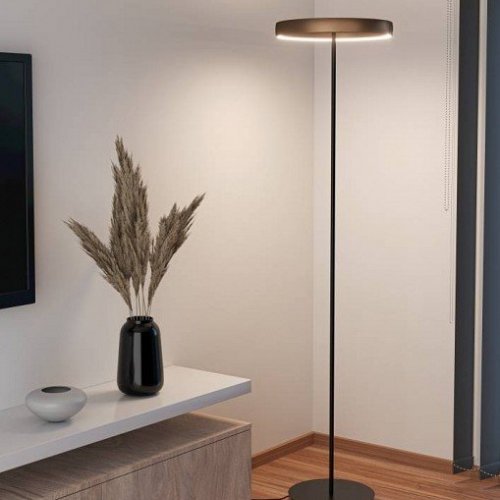 Торшер Trabuco 390452