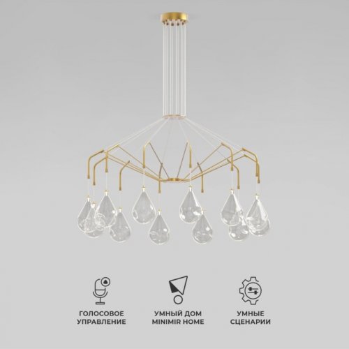 Подвесная люстра Birne 201002/12