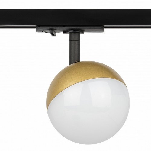 Трековый светильник ЭРА TR42-GX53 MG