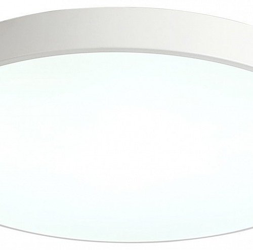 Потолочный светильник Tortty ZRS.02564.96 Потолочный светильник Tortty ZRS.02564.96