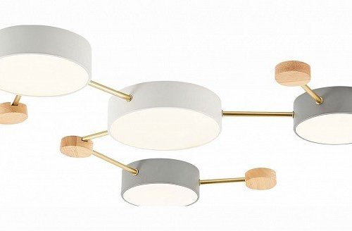 Потолочная люстра Evoluce Dossena SLE600102-06 Потолочная люстра Evoluce Dossena SLE600102-06