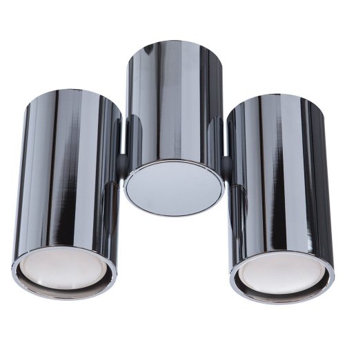 Потолочный светильник Divinare Gavroche 1354/02 PL-2 Потолочный светильник Divinare Gavroche 1354/02 PL-2