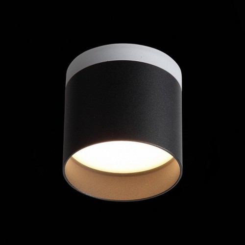 Потолочный светодиодный светильник ST Luce Panaggio ST102.402.12