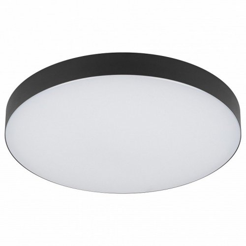 Потолочный светильник Relict 38 SPB-6-40 4К BK Потолочный светильник Relict 38 SPB-6-40 4К BK