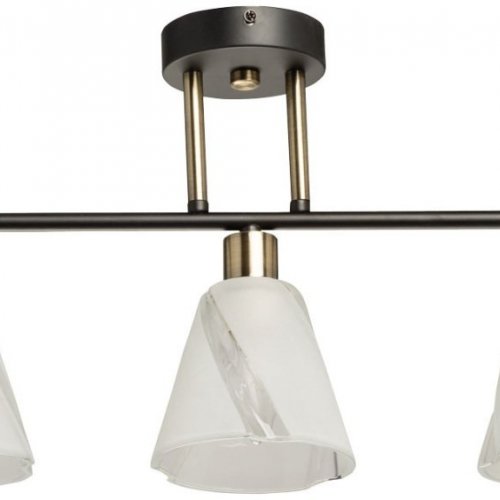 Потолочная люстра Тетро 118010403 Потолочная люстра Тетро 118010403