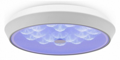 Накладной светильник Freya LED FR10012CL-L24W