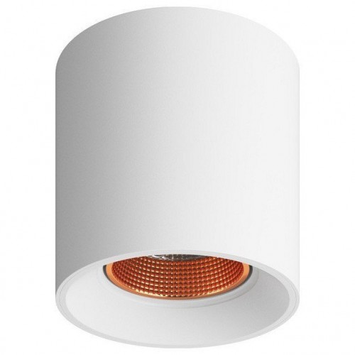 Точечный светильник Denkirs DK3090-WBR