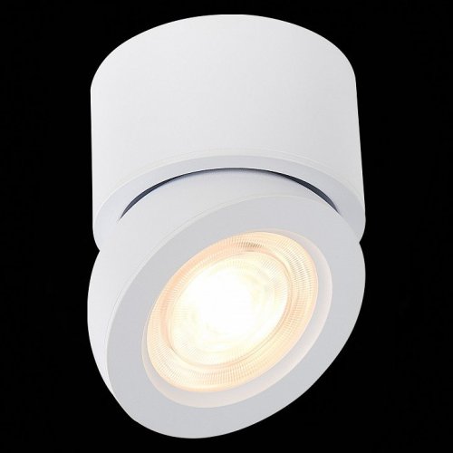 Светодиодный спот ST Luce ST654.532.10 Светодиодный спот ST Luce ST654.532.10