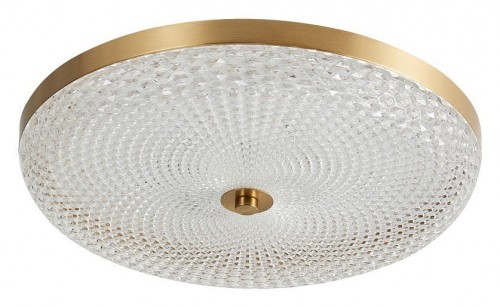 Потолочный светильник Arti Lampadari Viro Viro L 1.13.45x9 G Потолочный светильник Arti Lampadari Viro Viro L 1.13.45x9 G