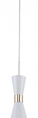 Подвесной светильник F-Promo Sheen 2758-1P