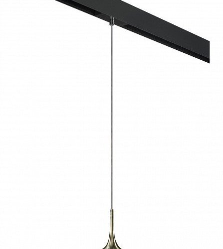 Подвесной светильник Lightstar Globo PRO813011