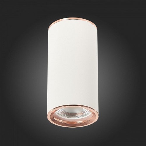 Накладной светильник ST Luce Chomus ST111.527.01 Накладной светильник ST Luce Chomus ST111.527.01