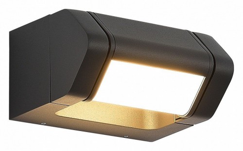 Уличный настенный светодиодный светильник ST Luce Protech SL9540.701.01