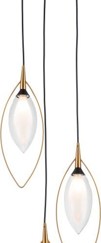 Подвесная люстра Indigo Fiore 13001/3P Black V000143