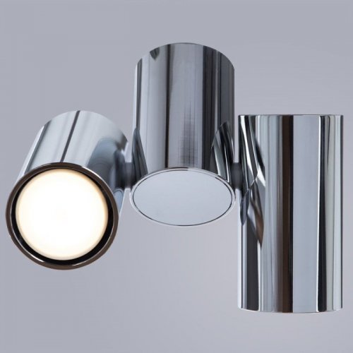 Потолочный светильник Divinare Gavroche 1354/02 PL-2 Потолочный светильник Divinare Gavroche 1354/02 PL-2