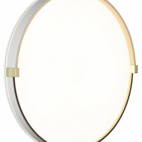 Настенно-потолочный светильник Sonex Olidi White 7646/DLN Настенно-потолочный светильник Sonex Olidi White 7646/DLN