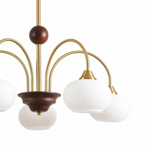 Потолочная люстра Lumion Larina 8323/5C