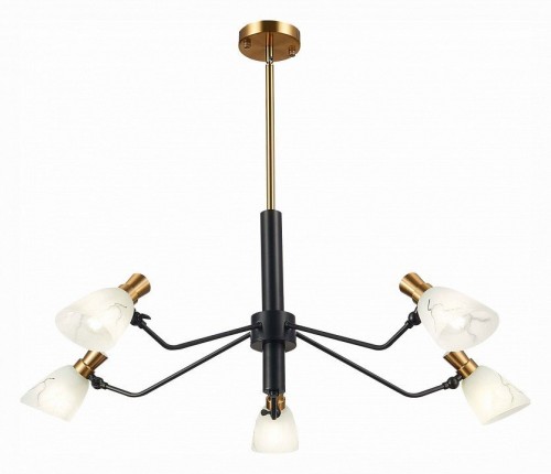 Подвесная люстра Evoluce Lita SLE205403-05