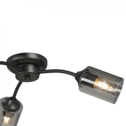 Потолочная люстра V2558-1/3PL Потолочная люстра V2558-1/3PL