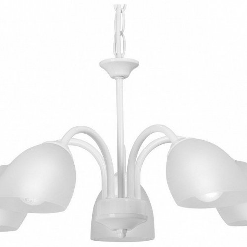 Подвесная люстра Vitaluce V3336/5 Подвесная люстра Vitaluce V3336/5