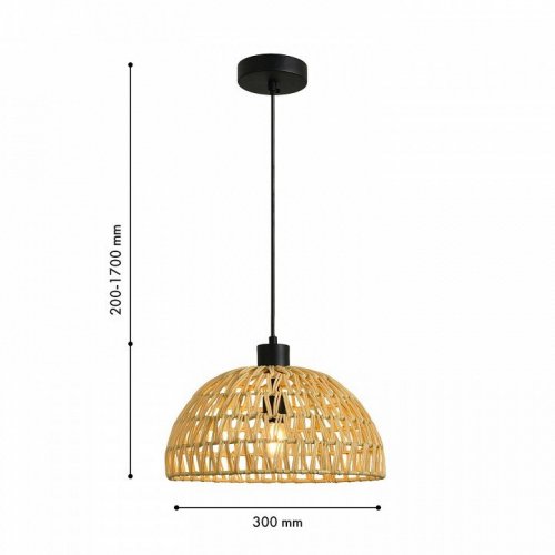 Подвесной светильник Favourite Canasto 4881-1P